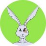 Barbarian Bunny (Thomas) ☦️'s profile picture