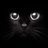 黒々猫 的头像