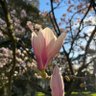 Фото профиля May