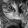 val's profile picture