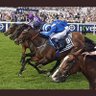 Фото профиля Brian Flynn