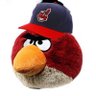 Фото профиля The Angry Bird ⚾️ 🦬