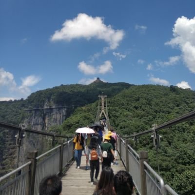 敲山震虎's profile picture