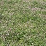 イオ・おみで 的头像