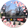 Фото профиля Rinkyo