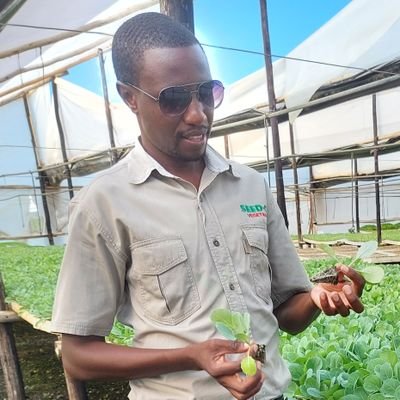 mucharedzeyi's profile picture