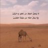محمد المهري's profile picture