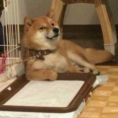 hubeidkw's profile picture