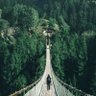パルム 的头像
