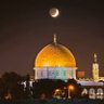 Фото профиля ابو رفيق الكهالي