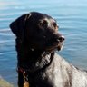 Polly's profile picture