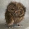 H.Mutlu's profile picture