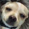 Profilbild von 認真