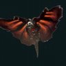 EnderDwarf201's profile picture