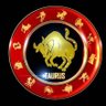 BOĞA 37's profile picture