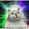 Kris's profile picture