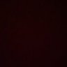 oli's profile picture