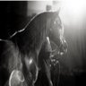 E.ss569's profile picture