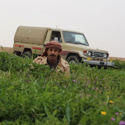 حمد بن عبدالله ابوغانم's profile picture