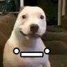 Le_Abto's profile picture