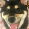 ちぃさん's profile picture