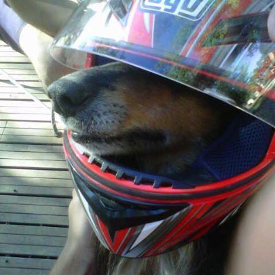 Volante Cero's profile picture
