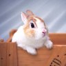 Profilbild von ララ
