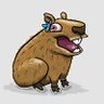 capibara's profile picture