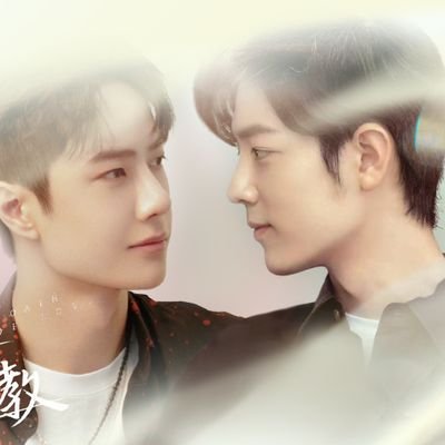 🐷博弟💛战哥🐰's profile picture