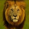 Likatso's profile picture