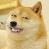 W Avi's profile picture