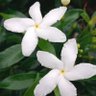 อยู่ที่ใจ profil fotoğrafı