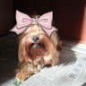 Екатерина's profile picture