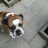 Profilbild von Dave