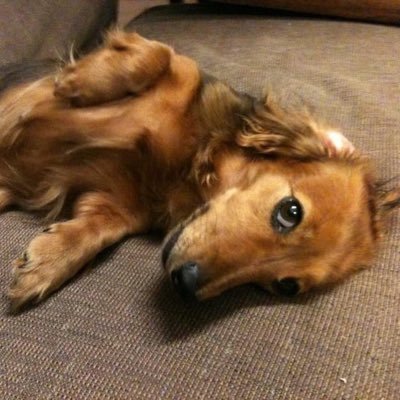 kanoa2005's profile picture