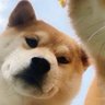 Profilbild von 长者
