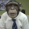 Юрий Булкин's profile picture