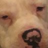 Profilbild von jack 𖤐