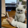 Фото профиля cute me