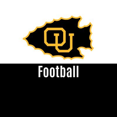 Ottawa Braves Football's profile picture