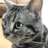 しゅうる profil fotoğrafı