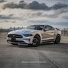 Фото профиля snake