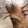Profilbild von Tony Shame-haver