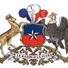 Фото профиля DEFENSOR DE LA PATRIA DE CHILE