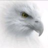 Profilbild von Creland