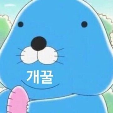 dn795433's profile picture
