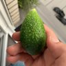Sackbait 的头像