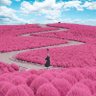 بنت عمـر |يارب توفيقك🦋. 的头像