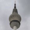 Christoph Herrmann's profile picture