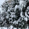 zehiroğlu61 的头像
